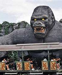 ��һ�ο��������ӵ����ɣ�̫������