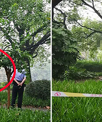 ��ɷ������һ�����������̻�������