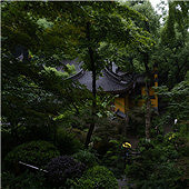 ���е�������