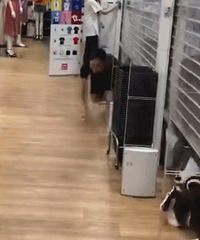 ��������������¿������ˣ������Ŷ������ƣ�