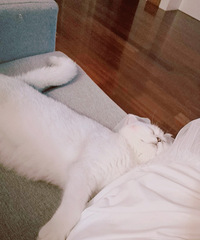 С�����Ͻ��� ������ԵҲϣ���������Ͻ� Т˳��ĸ