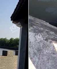 �ֲ�������һ���ӵ��� ������������һ��ʬ�壿