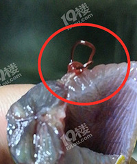 ���˰��Ի�����ע���ˣ�