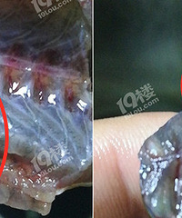 ���ģ����˰��Ի�����ע���ˣ�