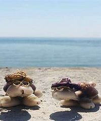 �Լ���轵� ��ˮ̫���ˣ�������Ұ����