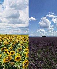 ���������� ޹�²ݺ����տ��������ˣ�