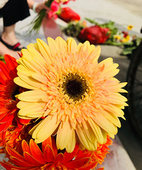 ϣ��ĳЩ������������ء��ʿɶ�ֹ