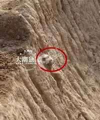 �����ˣ����˷���һ������Ĺ��Ⱥ��1000��ƽ���ס�