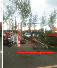 ������·һ�γ�Ϊ�ܿ����Լ�ײ����