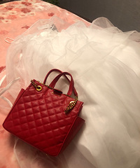 ʵ�øɻ� wanghong��������� �����¼֮������