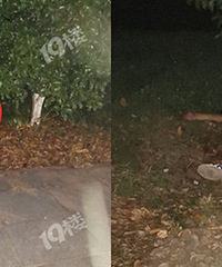 �ţ�����һ���Ǻȵĵ��ڲݴ��ﲻʡ����