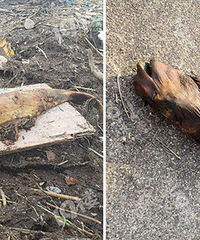 ���������Ѿ��ֹ���һ�����������