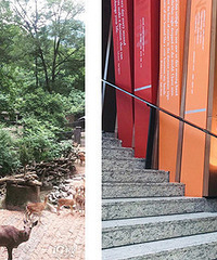 95��MM ����163 ���Ҹ�175+��С���