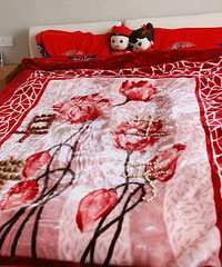 ���������̵ĺ챻�Ӻ�ë̺ �����Ķ��ǰ�