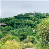 ��Ұ���������ˣ�