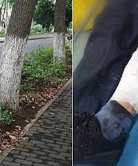 ���ţ������и���ľ�ȷ�����������