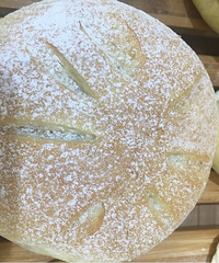 �¿�����̲�