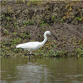 ���������еİ���