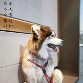 ������Ĺ���