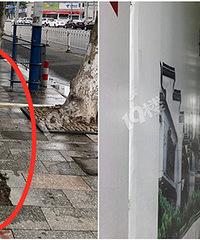 ��ɽ·���е��м䡰��ب���ŵ��߸ˣ�