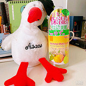 6��Ǯ����wanghong��ױˮ