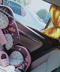 ����ι�̱ر��ĳ�����