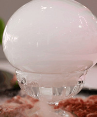 ���ڳԵ������wanghong ����ʮ��