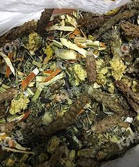 �ع⣡ҽԺ���������ҩ