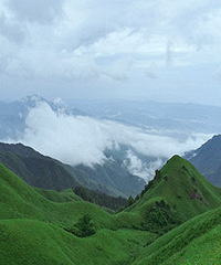 1590��ͽ���书ɽ ��ɫ����ֵ̫�ã�