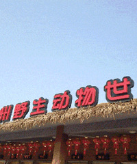 ���ɰ�������ֻ��С�ɰ�������ͶιӴ��