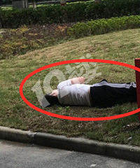 ������Ĳ�ƺ�Ͼ��֡���ʬ����