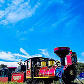 ���ݵ�ɭ��С��