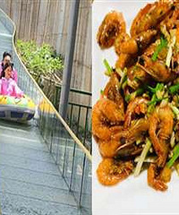 1260�ײ���Ư��̫�̼������ͱ�Ϻ���óԣ�