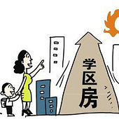 С����ѧ��Ҫ��ôѡ