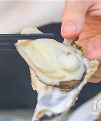 6ëǮһֻ����� Ҳ̫�����˰�