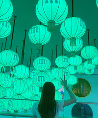 95��MM ����161 һ��ѧ�� �Ҷ���