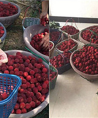 ������ ������÷��������֦��