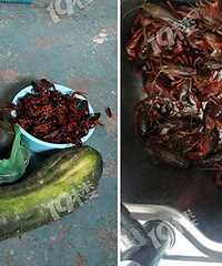 ���˻�����13��һ����Ϻ�ĵط���