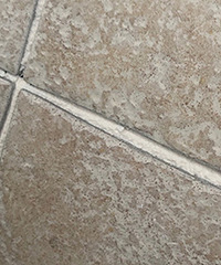 ���������췵���������̶ֳ� ��ôǳ������