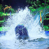 ���컬���˷��죡