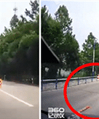 ��ͬ���裡�嶫������εĻ���ȫ��ѹ���ڵ�