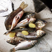 ������Ұ��������