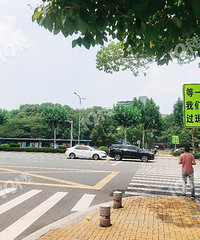 ���ⲻ���ˣ��ڰ������������˵��ұ�׷β�� �����ֱ�������