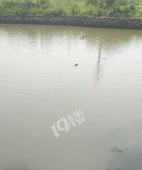 ���£���������������ﾪ���и�ʬ���������źӵ�ð������