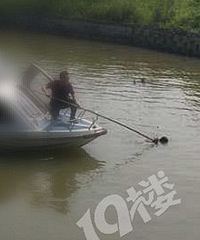 ���ˣ���������������ﾪ�ָ�ʬ