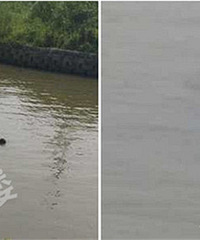 ���ˣ���������������ﾪ�ָ�ʬ��