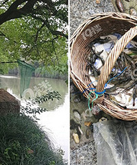 �����������ÿ���̼���Ұ��Ϻ ˵ˮ�ʺ�