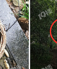 �������ÿ���̼���Ұ��Ϻ ˵����ˮ�ʺ�