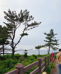 ��ǩ������call ��һ��Сʱ���ܵ����ʺ����޵ĺ���