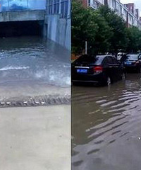 �������� ���³���᲻��������һ������